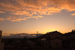 20260304_1724030